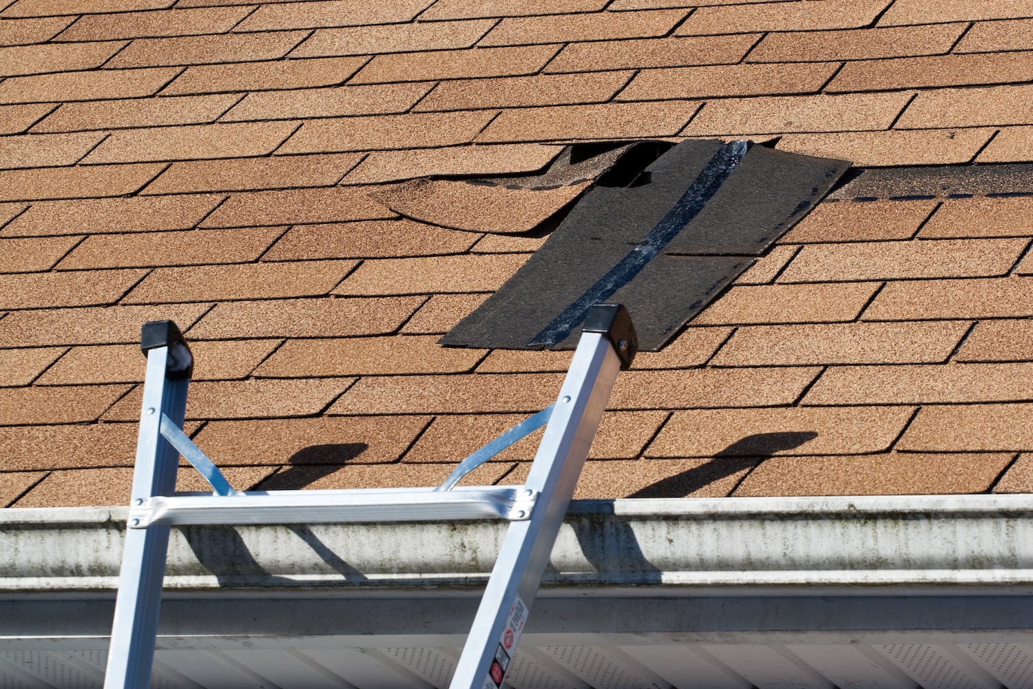 how to know you need roof repairs