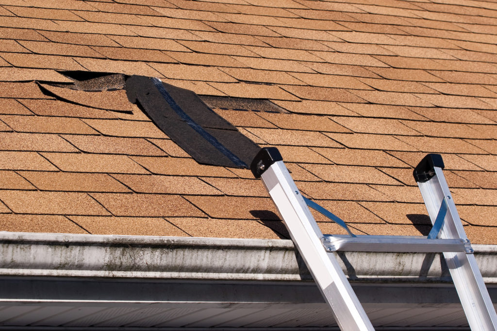 Fixing damaged roof shingles.  A section was blown off after a storm with high winds causing a potential leak.