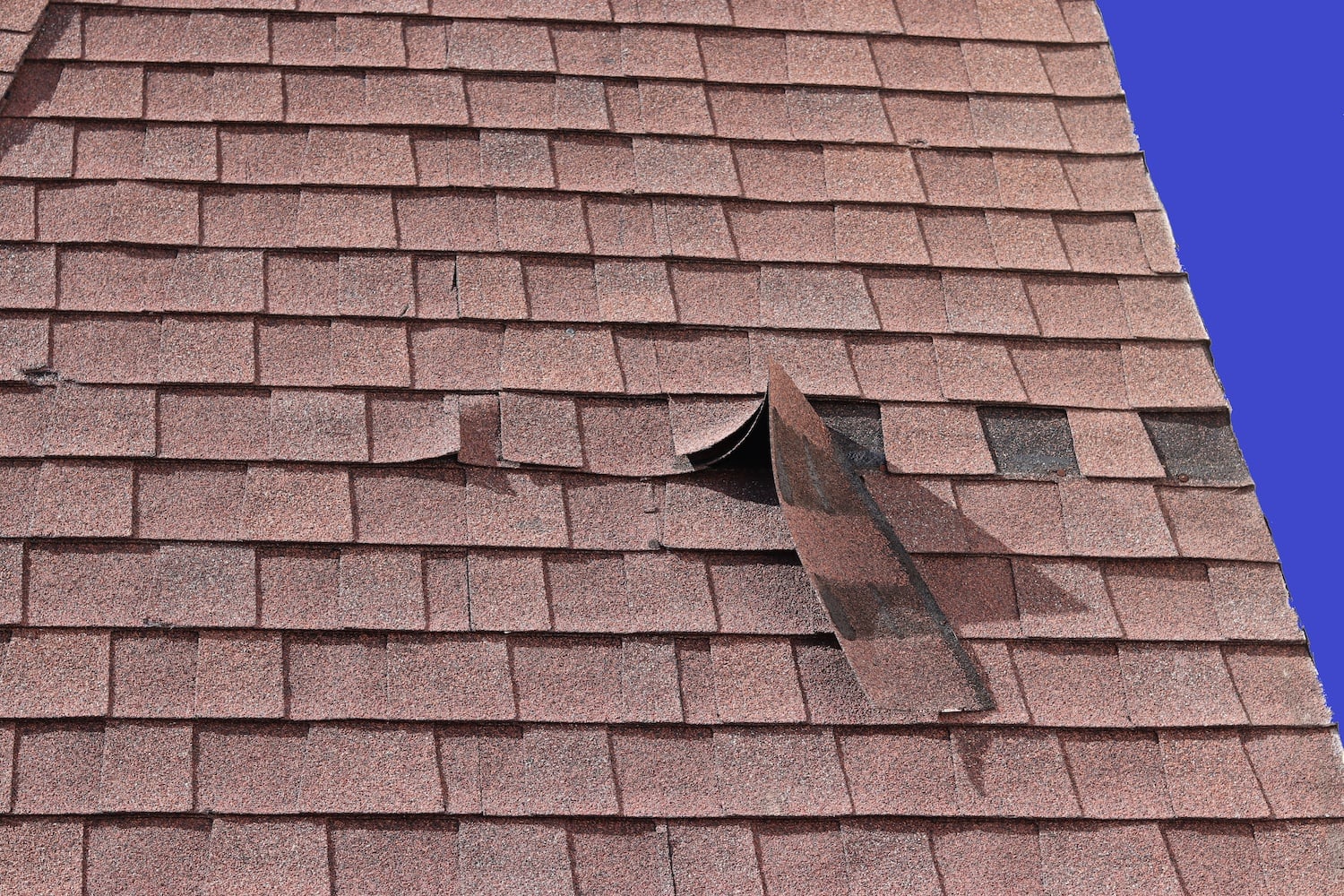 signs of roof wind damage