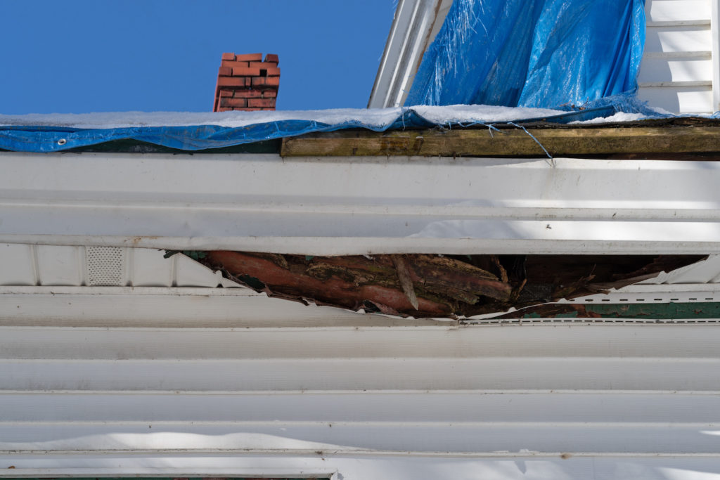 Underside of fascia on a house with wood and insulation dropping through with the roof covered with a blue tarp in the winter.