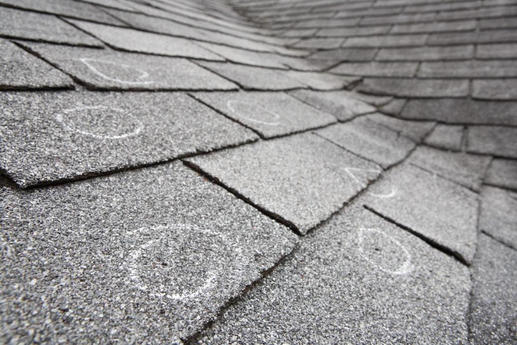 hail dents shown and circled on an old asphalt shingle roof