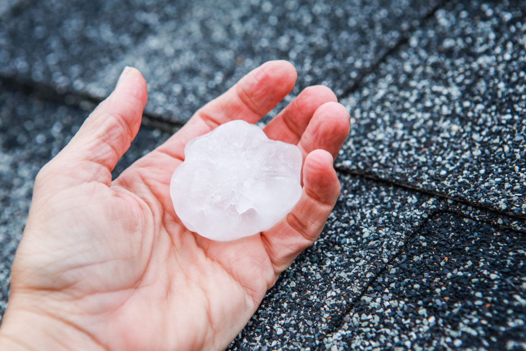 hail damage with extra large hail stone in hand