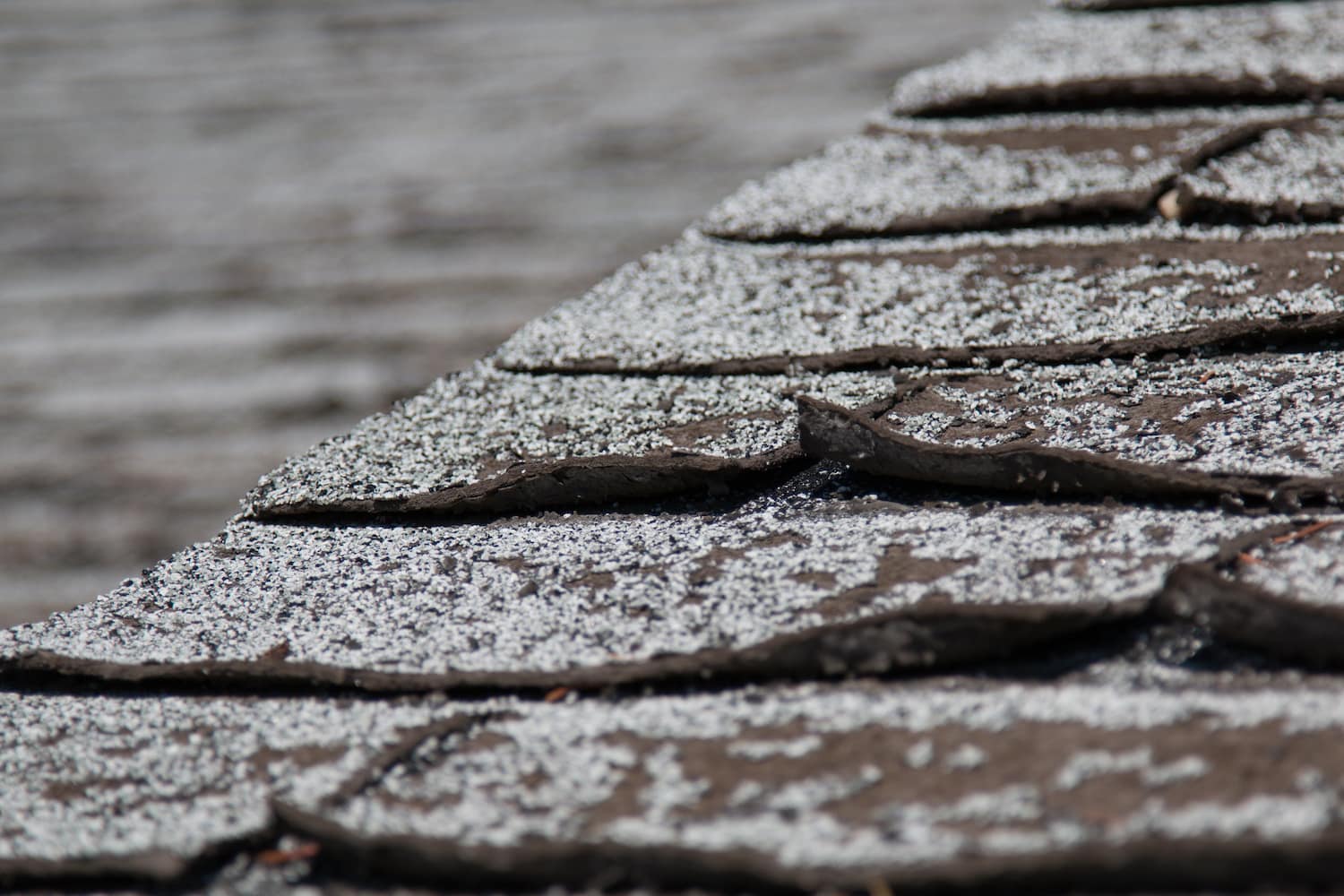 roof repair up close view of curling algae covered asphalt shingles