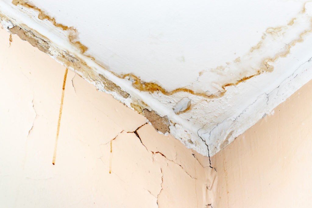roof repair tips sign of water damage in corner of home interior